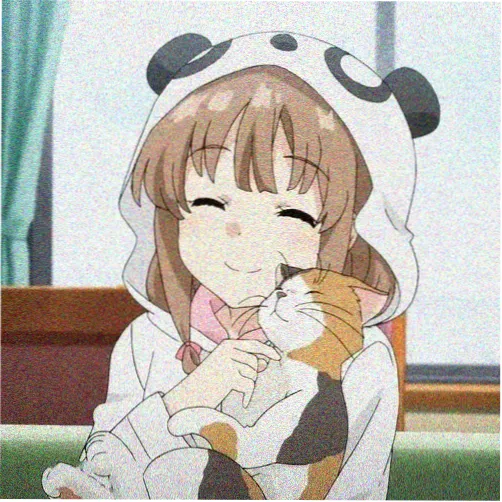 站长回复的头像